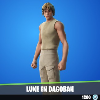 Luke en Dagobah